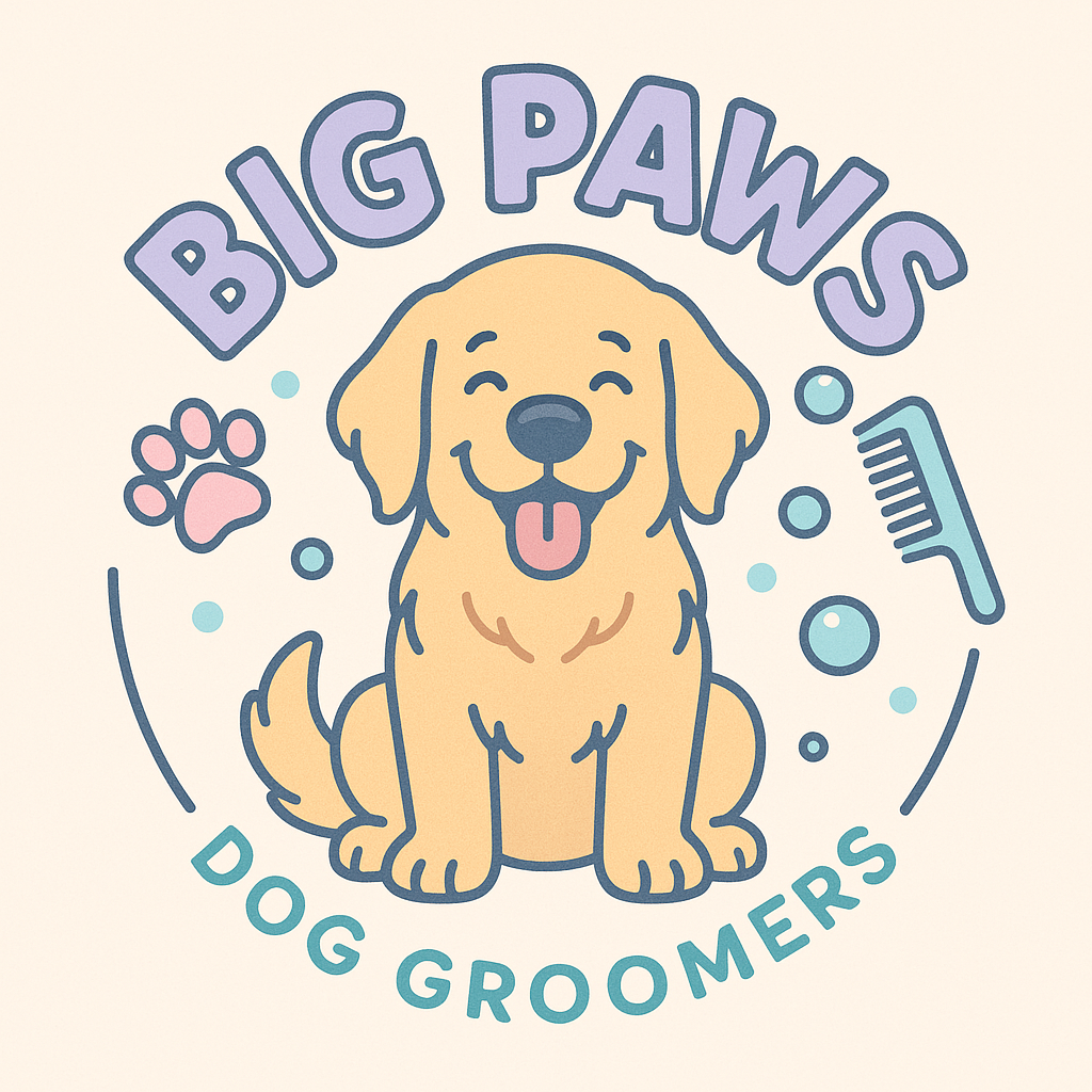 Happy dog after grooming